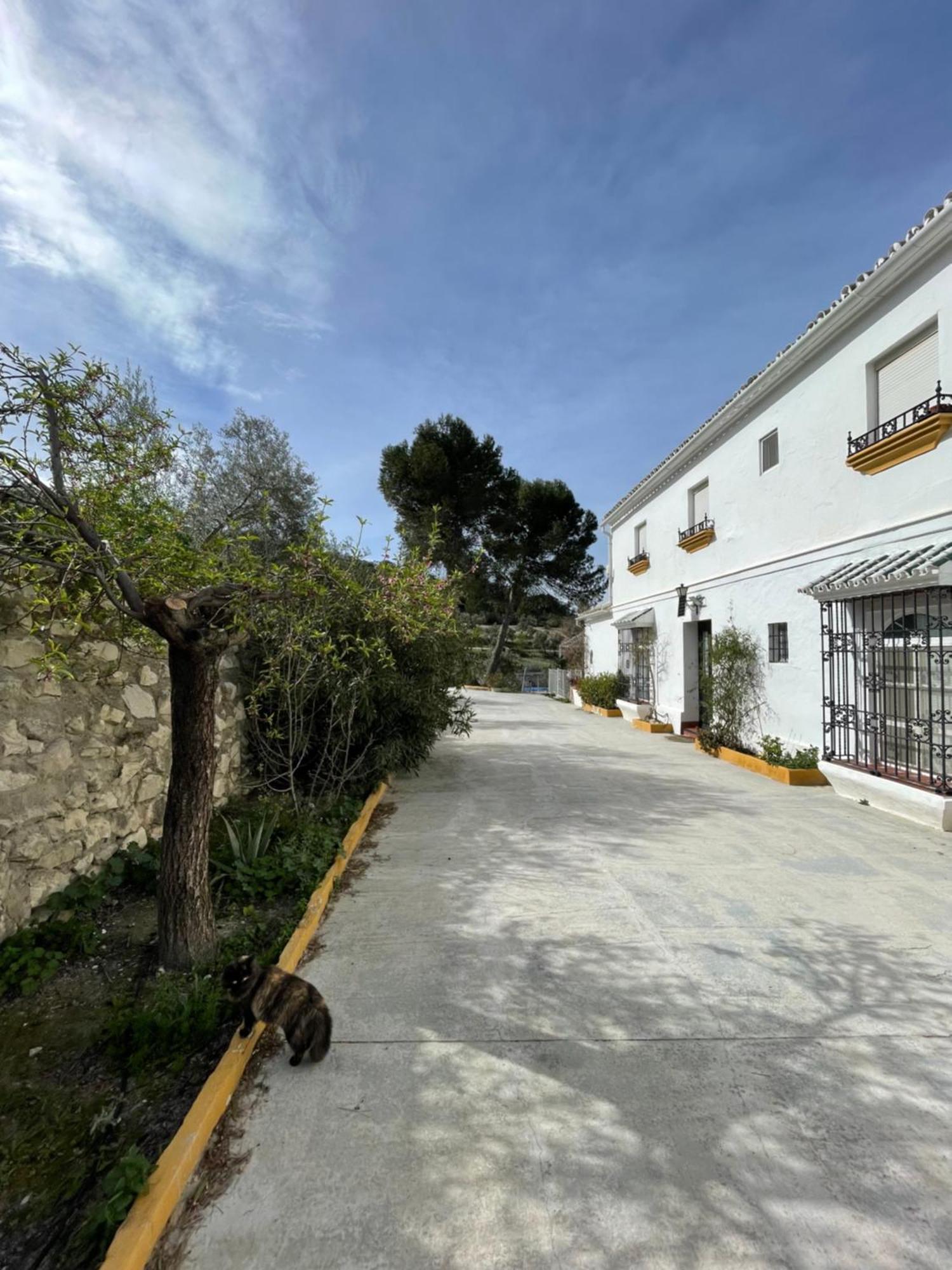 Vina Zarzarrosa Osuna Exterior foto
